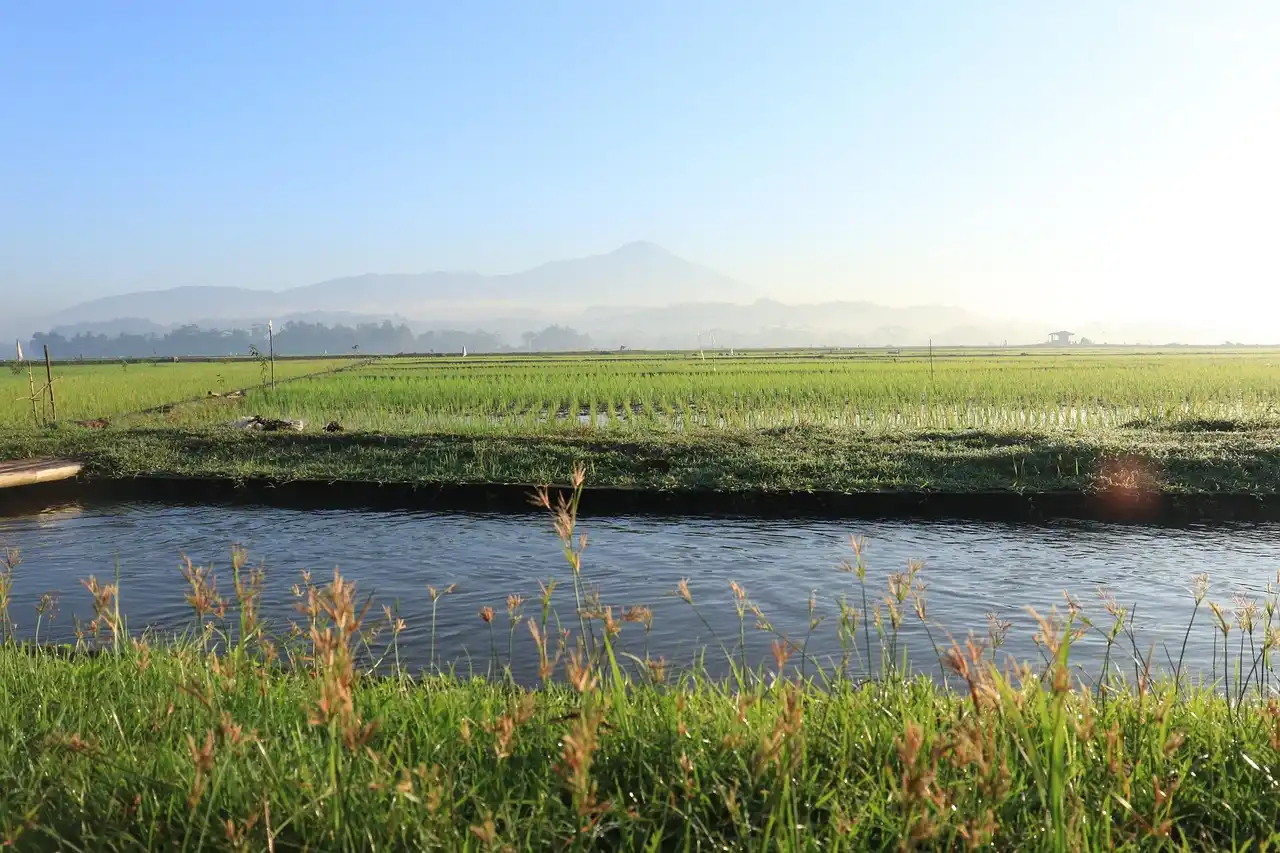 Pengujian kualitas air limbah di badan air